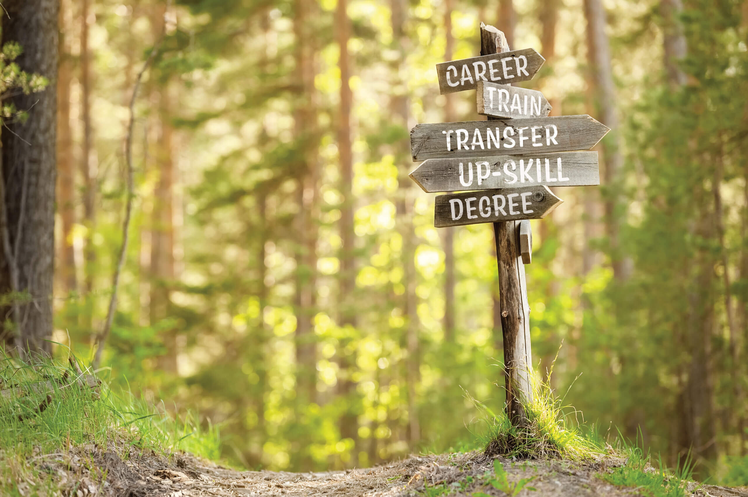signpost