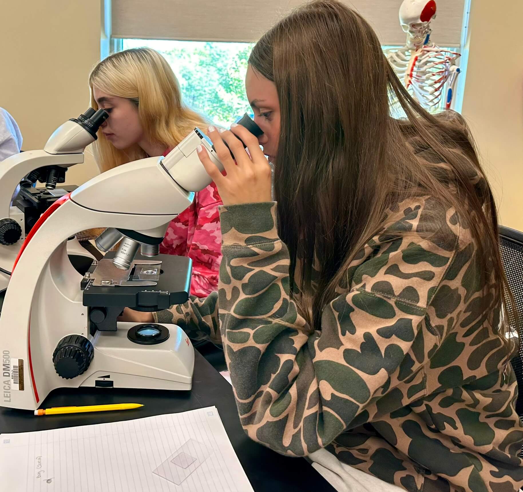 Interdisciplinary Studies